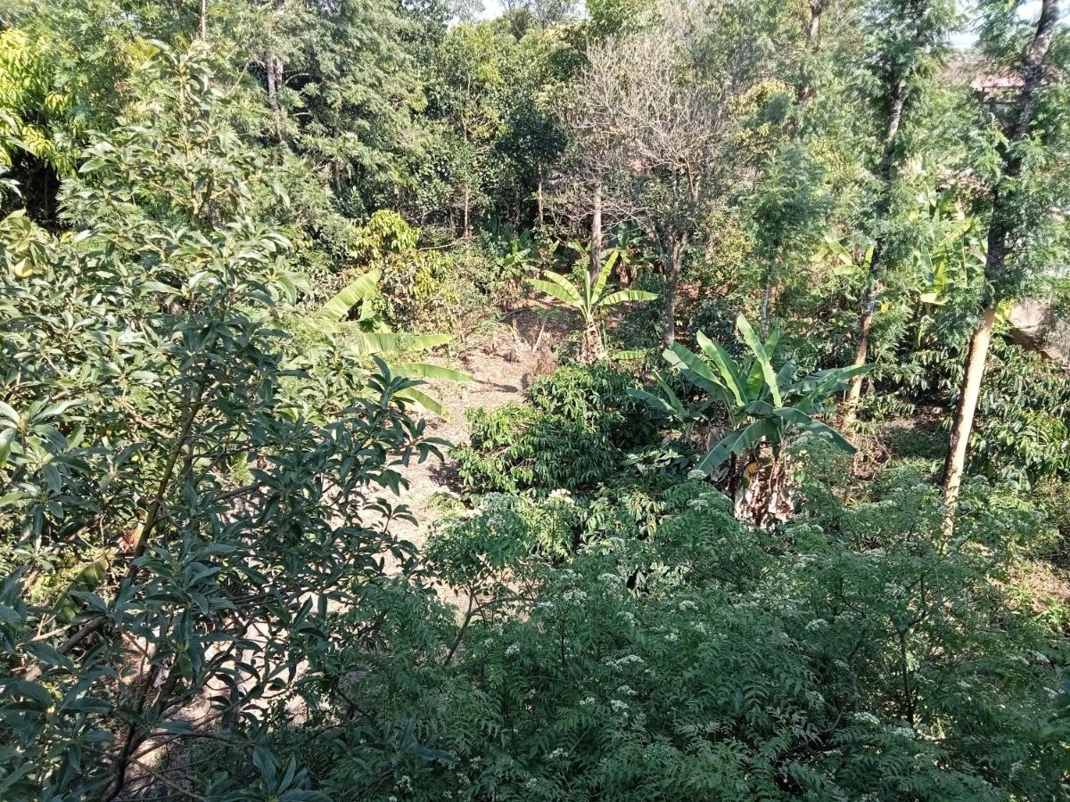 Krupa Homestay マディケーリ エクステリア 写真